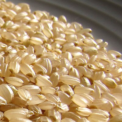 石井さんの有機玄米 5キロ